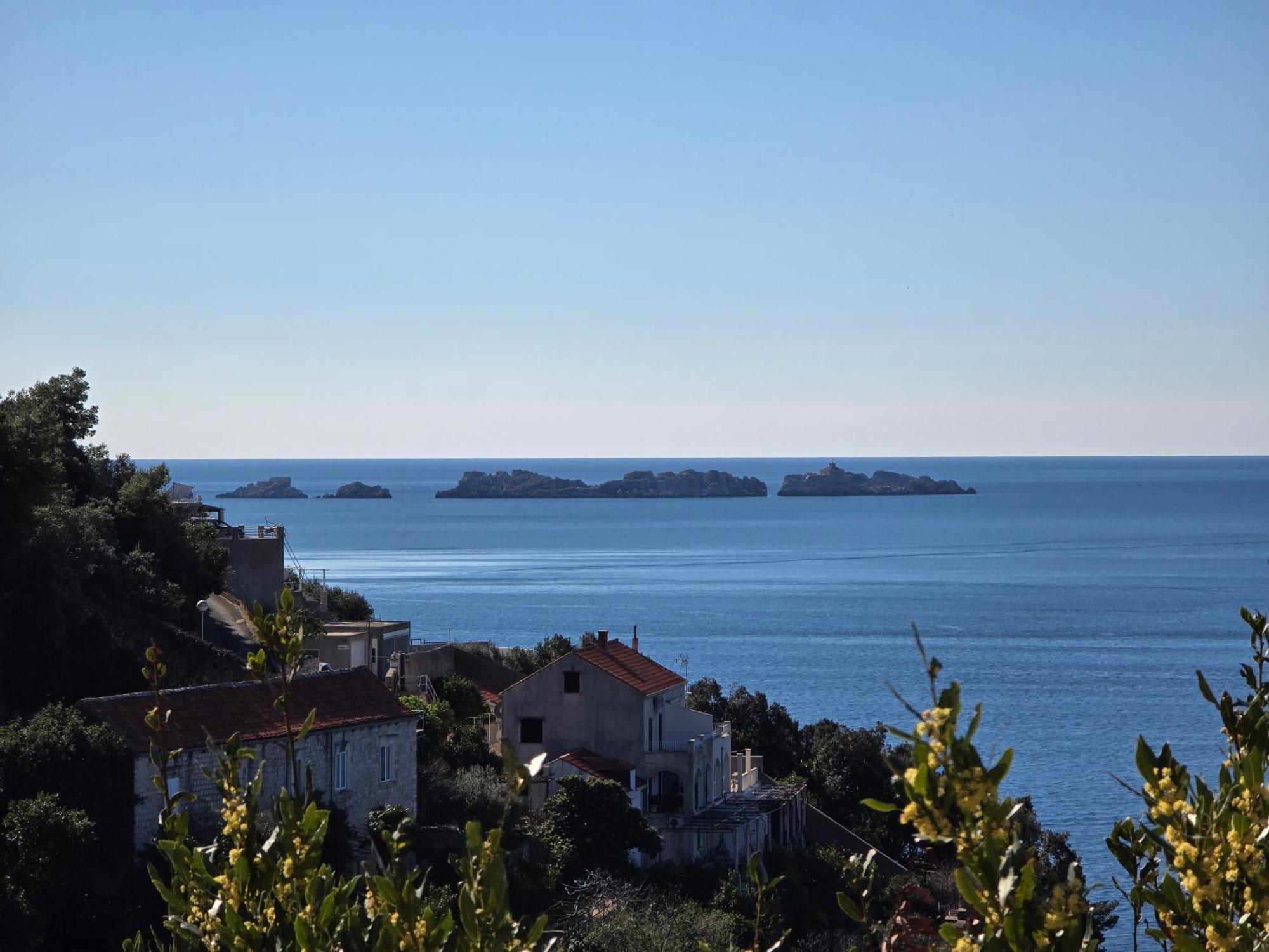 Indy's Sunny * Dubrovnik